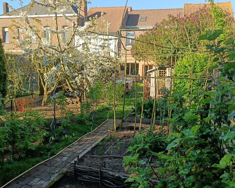 20260521_063319_nat-rn-terrain-658_photo_jardin vue du potager.jpg